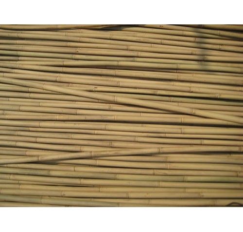50 x 150cm (5ft) Bamboo Canes 14/16mm Diameter